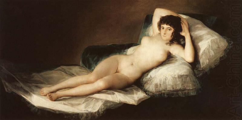 Francisco Goya The Naked Maja china oil painting image